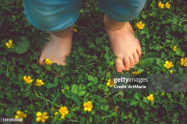 child's feet on the green grass - girl toes stock pictures, royalty-free photos & images