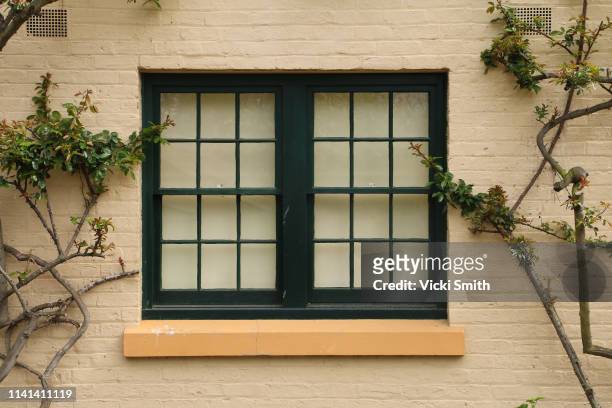 dark framed double window with vines growing around - wall building feature stock pictures, royalty-free photos & images
