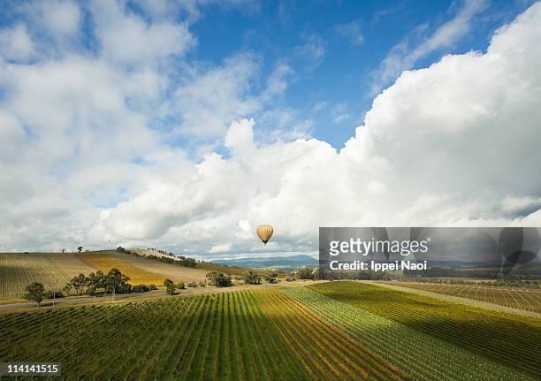 hot air ballooning over vineyards of yarra valley - australian vinyards stock-fotos und bilder