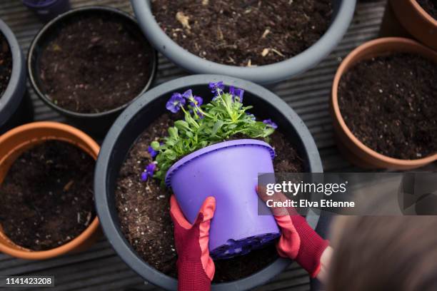 child gardening and putting flowering plants into pots in a back yard - flower pot overhead stock pictures, royalty-free photos & images