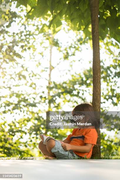 little boy with book under tree - six under ストックフォトと画像