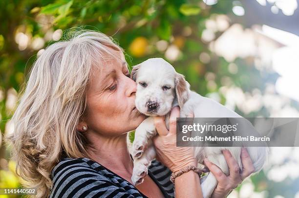 women enjoying with her dalmatian puppy - breeder stock pictures, royalty-free photos & images