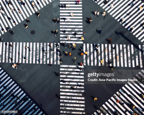 crosswalks in ginza, tokyo-japan - crossing stock-fotos und bilder