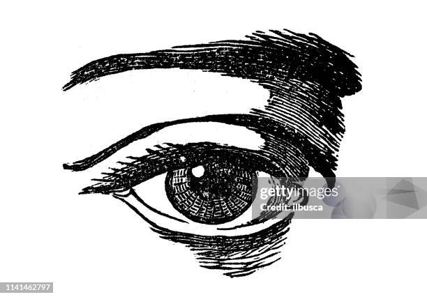 ilustraciones, imágenes clip art, dibujos animados e iconos de stock de ilustración antigua de los ojos - grabado en madera
