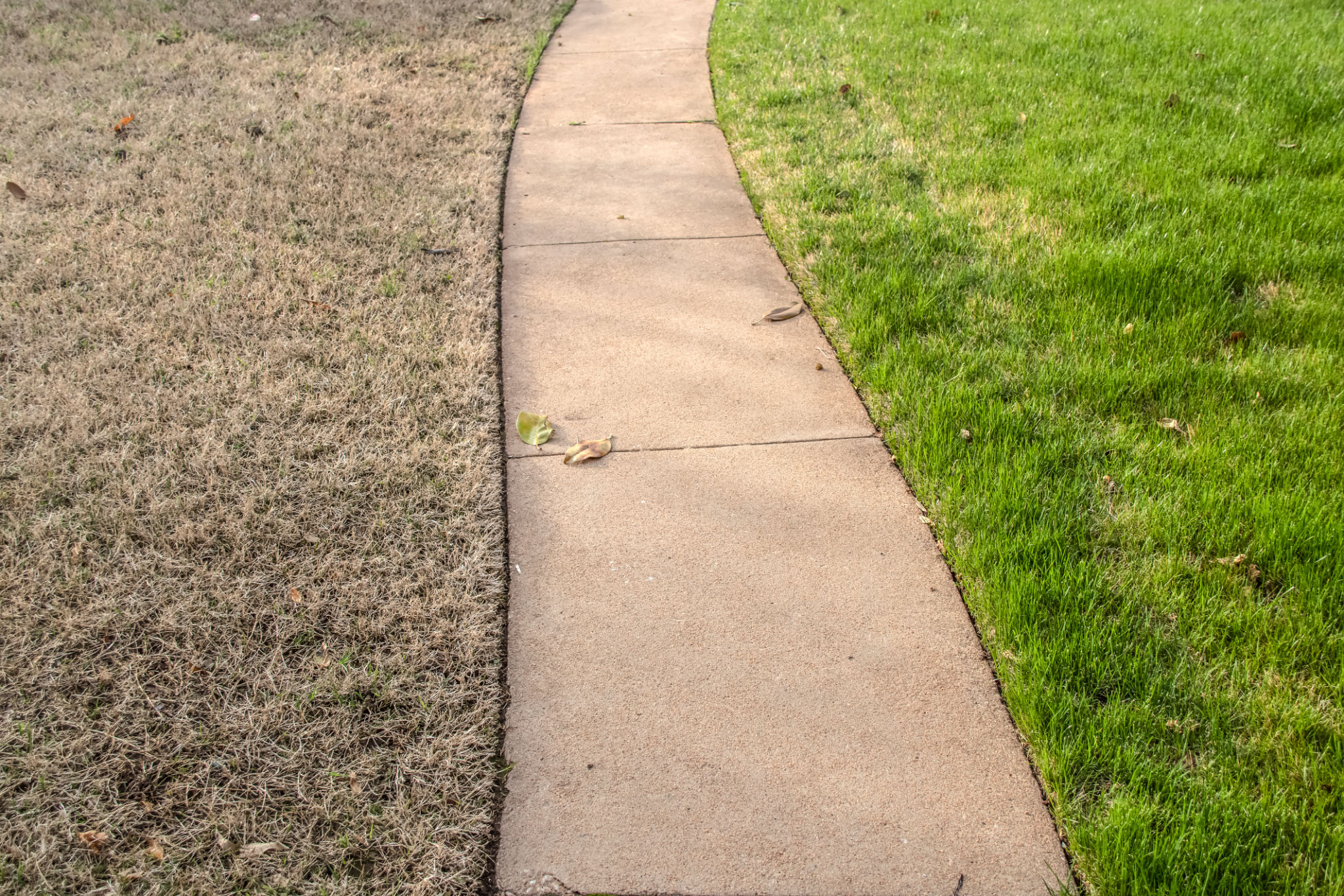 assessing lawn