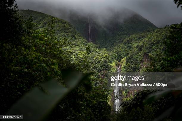aerial view of mountains and river on valley - guadeloupe photos et images de collection