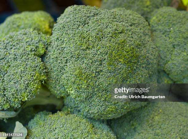 Symbol photo n the topics nutrition, food, vegetables, etc. The picture shows broccoli.