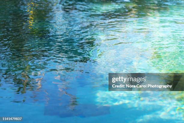 Reflecting Pool Rips 5,773 Pond Ripples Stock Photos, High-Res Pictures, and Images - Getty ...