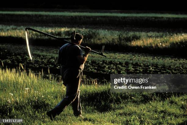 french farmer carrying a scythe in his fields - gras sense stock-fotos und bilder