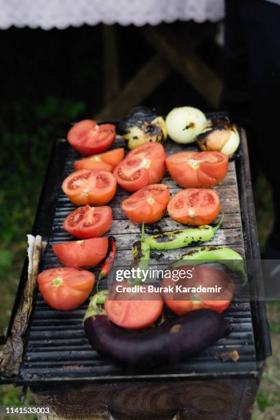 veggie skewers - vegetable kebab stock pictures, royalty-free photos & images