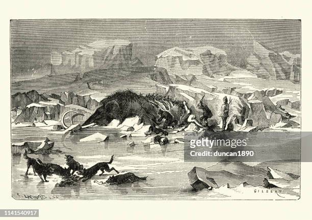 early hunters slaughtering a wooly mammoth - prehistoric era stock illustrations