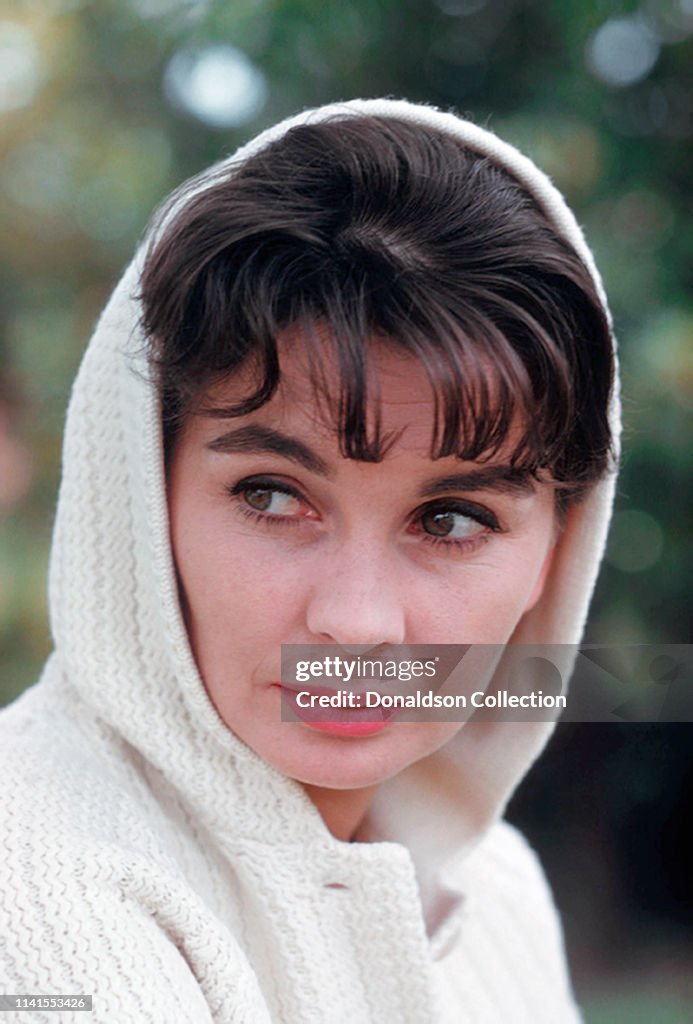 Jean Simmons at Home