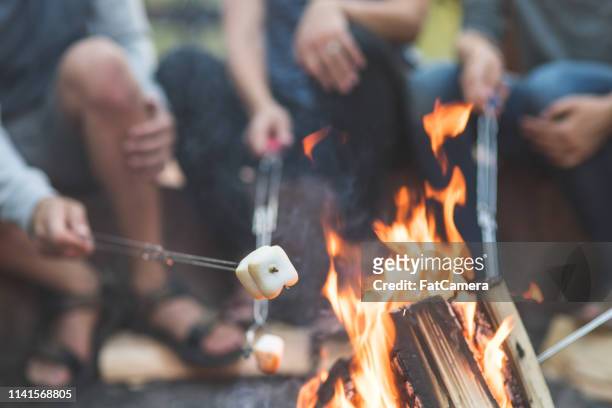 smores door het kampvuur - marshmallow stockfoto's en -beelden