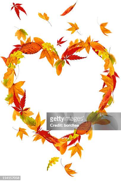 isolated autumn heart - maple leaf heart stock pictures, royalty-free photos & images