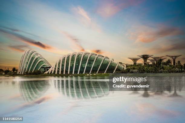 singapore gardens by the bay at sunset - gardens by the bay stock pictures, royalty-free photos & images