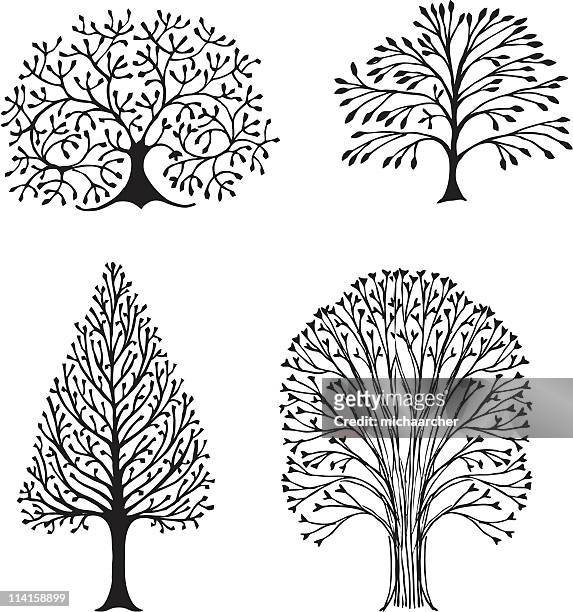 four trees - live oak tree stock illustrations