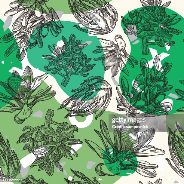 succulent plant seamless blob pattern - aloe vera stock illustrations