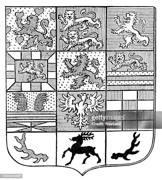 coat of arms of the duke of brunswick - reformer stock illustrations