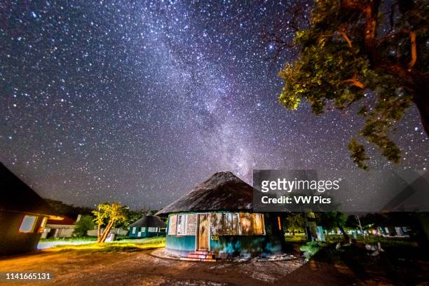The night sky at a campsite in the Hwange National Park covered in billions of stars. Hwange, Zimbabwe.