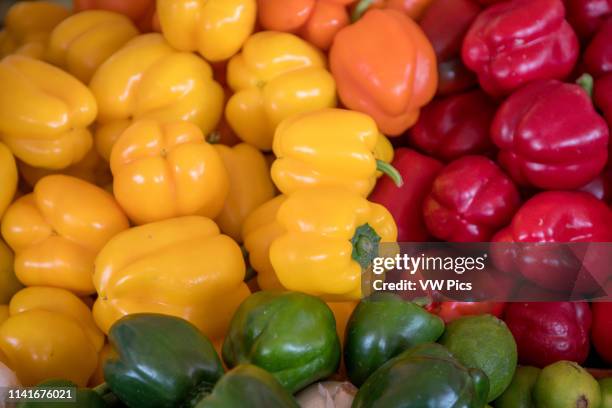 Vegetable market Abu Dhabi - Vegetable market Abu Dhabi - United Arab Emirates - Different types of peppers.