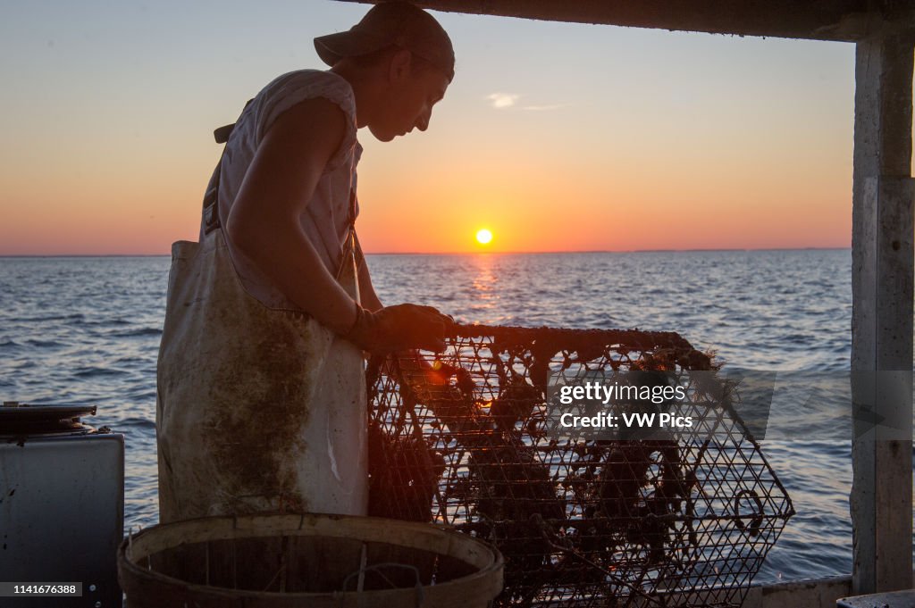 Young waterman pulls in crab trap as the sun rises behind him, Dundalk, Maryland.