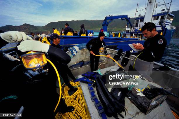 Bluefin Tuna, News Photo