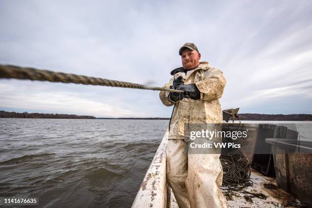 Fishermen pulling in a hoop net of blue catfish on the Potomac River near Fort Washington, Maryland.