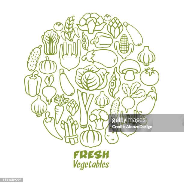 illustrations, cliparts, dessins animés et icônes de composition ronde de légumes - ail légume à bulbe