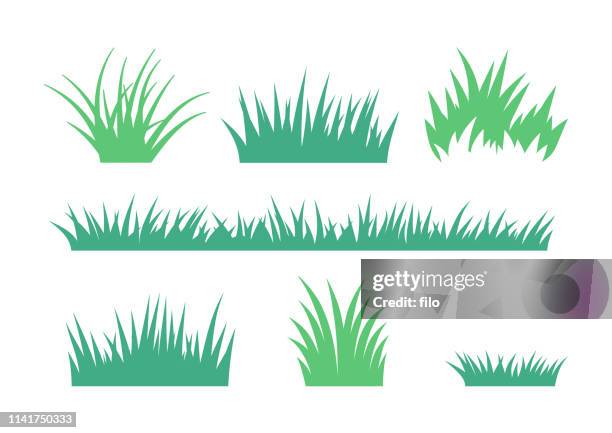 ilustrações de stock, clip art, desenhos animados e ícones de growing grass and cultivated lawn silhouettes and symbols - herb