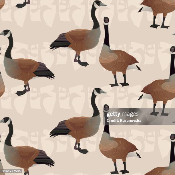 canada geese seamless pattern - canada goose stock illustrations