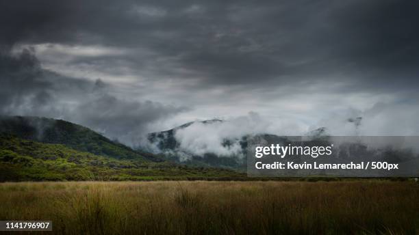 wilsons promontory - morwell stock pictures, royalty-free photos & images