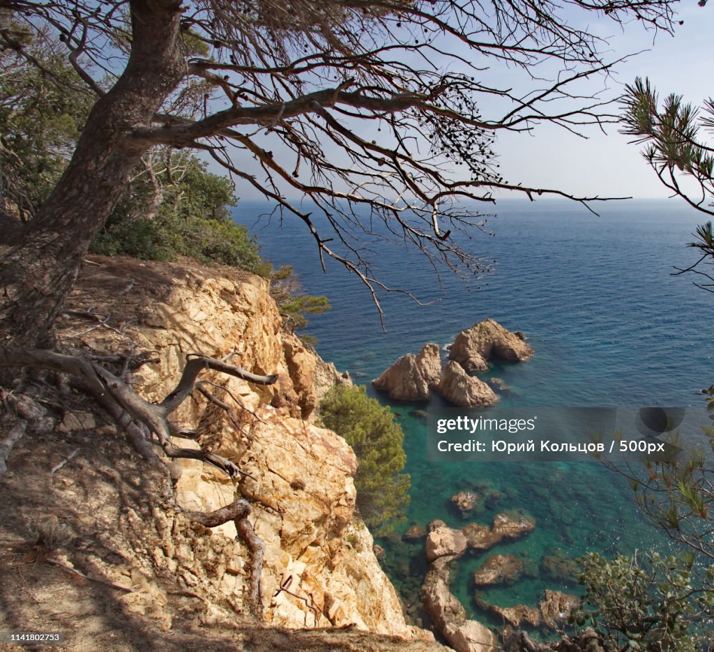 Coastal Scene