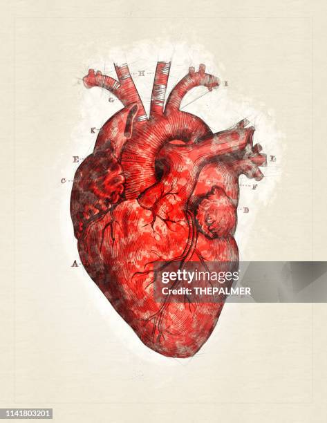 stockillustraties, clipart, cartoons en iconen met hart-gemengde digitale techniek - menselijk hart