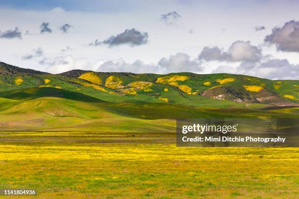 258 Temblor Range Stock Photos, High-Res Pictures, and Images - Getty ...