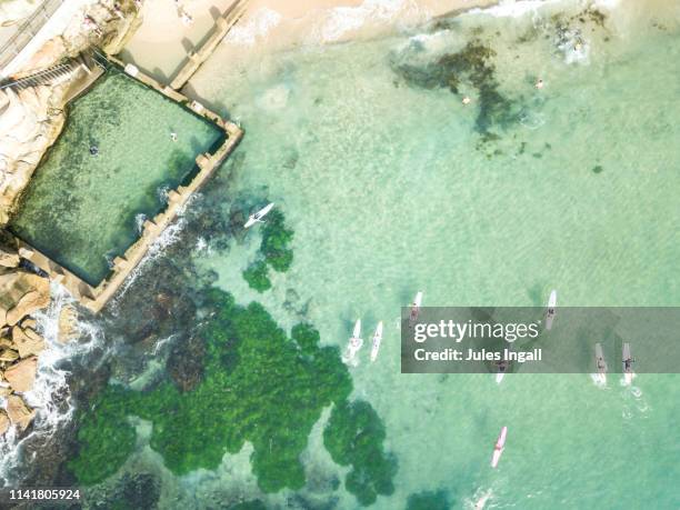 aerial view of the beach and surf with paddle boarders - coogee beach stock pictures, royalty-free photos & images