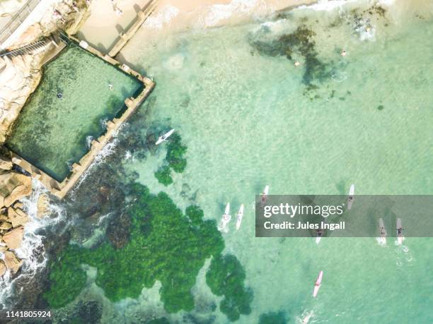aerial view of the beach and surf with paddle boarders - coogee beach imagens e fotografias de stock