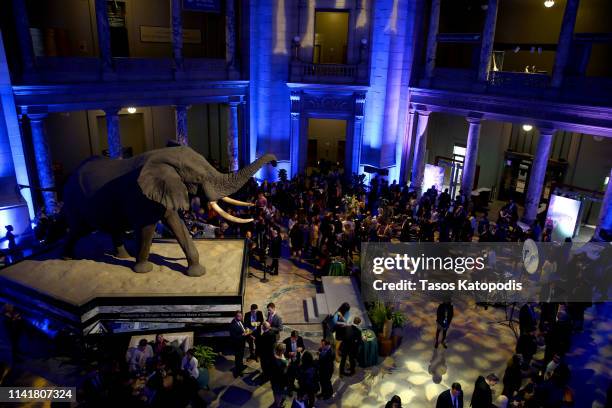 View of the venue during the "Our Planet" Special Screening With Sir David Attenborough at the Smithsonian National Museum Of American History on...
