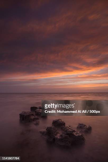 golden hour - saudi arabia beach stock pictures, royalty-free photos & images