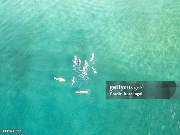 aerial view of the beach and surf with paddle boarders - coogee beach bildbanksfoton och bilder