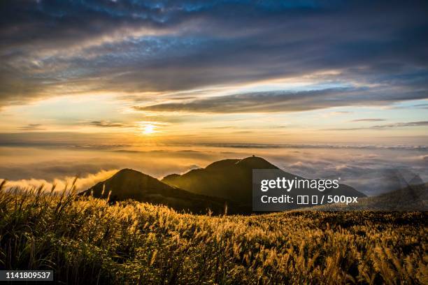 Ditor Tree Datun 36 Mt Datun Stock Photos, High-Res Pictures, and Images - Getty Images