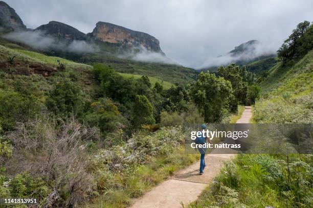 female hiker enjoys hiking in the mountains - drakensberg stock pictures, royalty-free photos & images