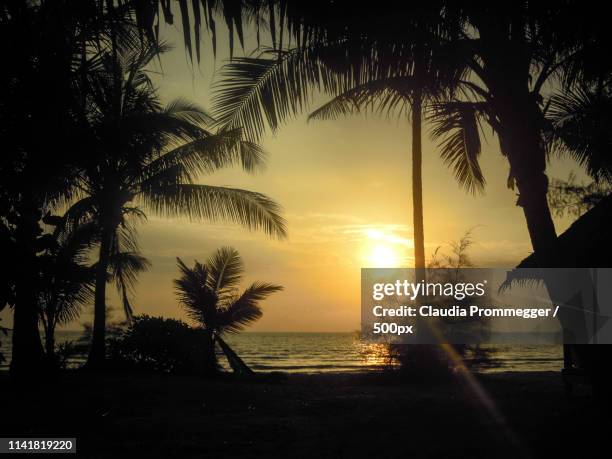 idyllic sunset - einfaches leben 個照片及圖片檔