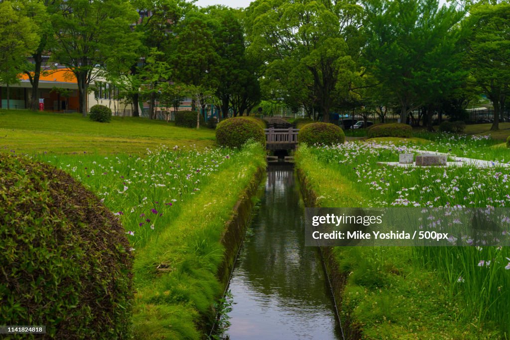 Photographic Image
