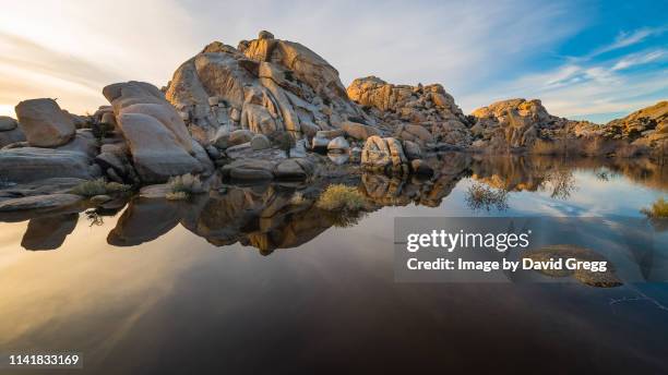 barker dam sunset - joshua fotografías e imágenes de stock