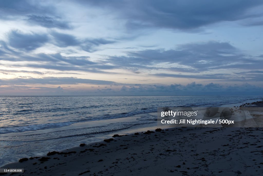 Pastel Morning On Beach