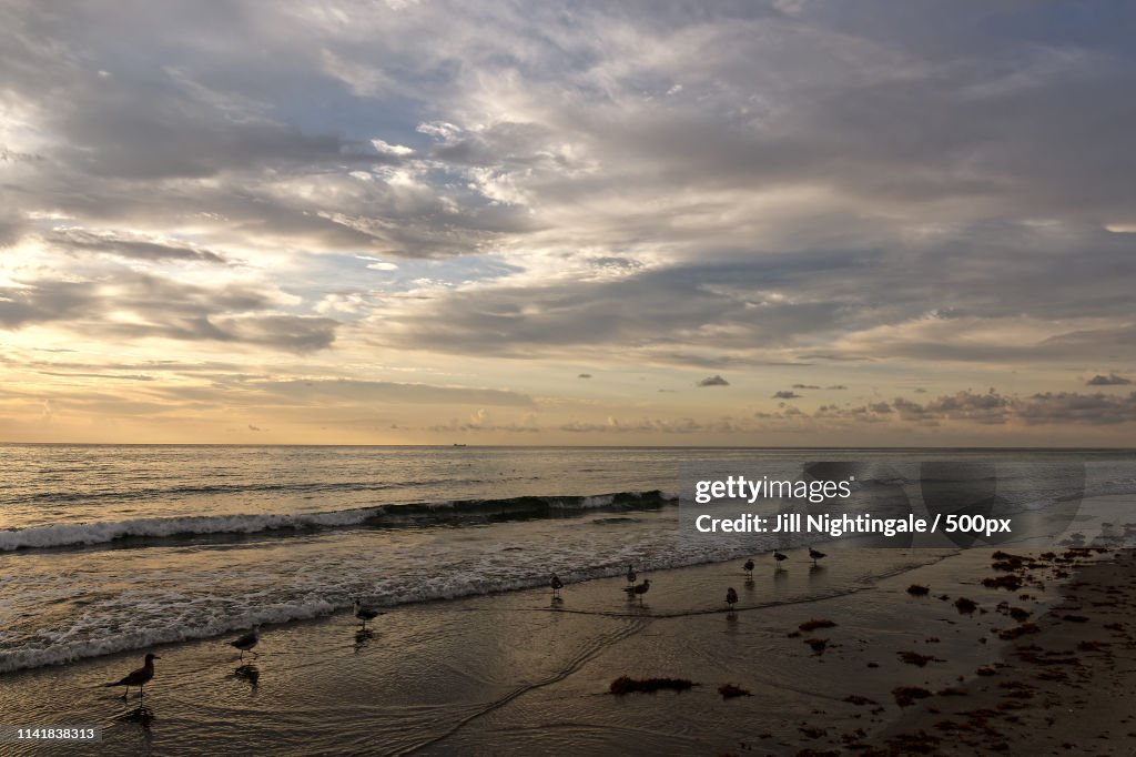 Golden Hour On South Florida Beach