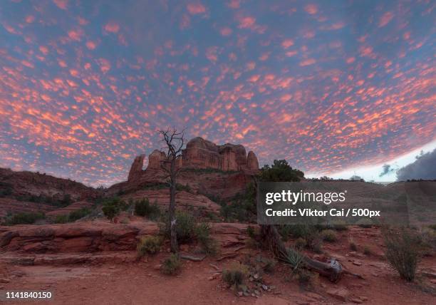 red cassock of cathedral rock - surprise arizona stockfoto's en -beelden