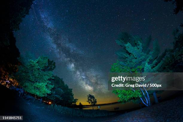 night sky at killbear - killbear provincial park stockfoto's en -beelden