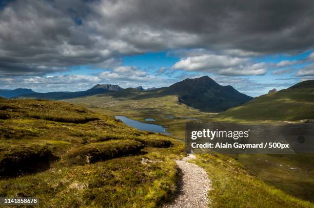 the scottish heath - ullapool stock pictures, royalty-free photos & images