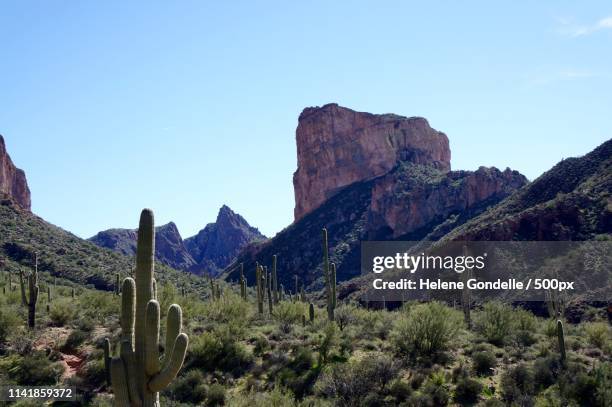 boulder canyon trail - gebirge superstition mountains stock-fotos und bilder